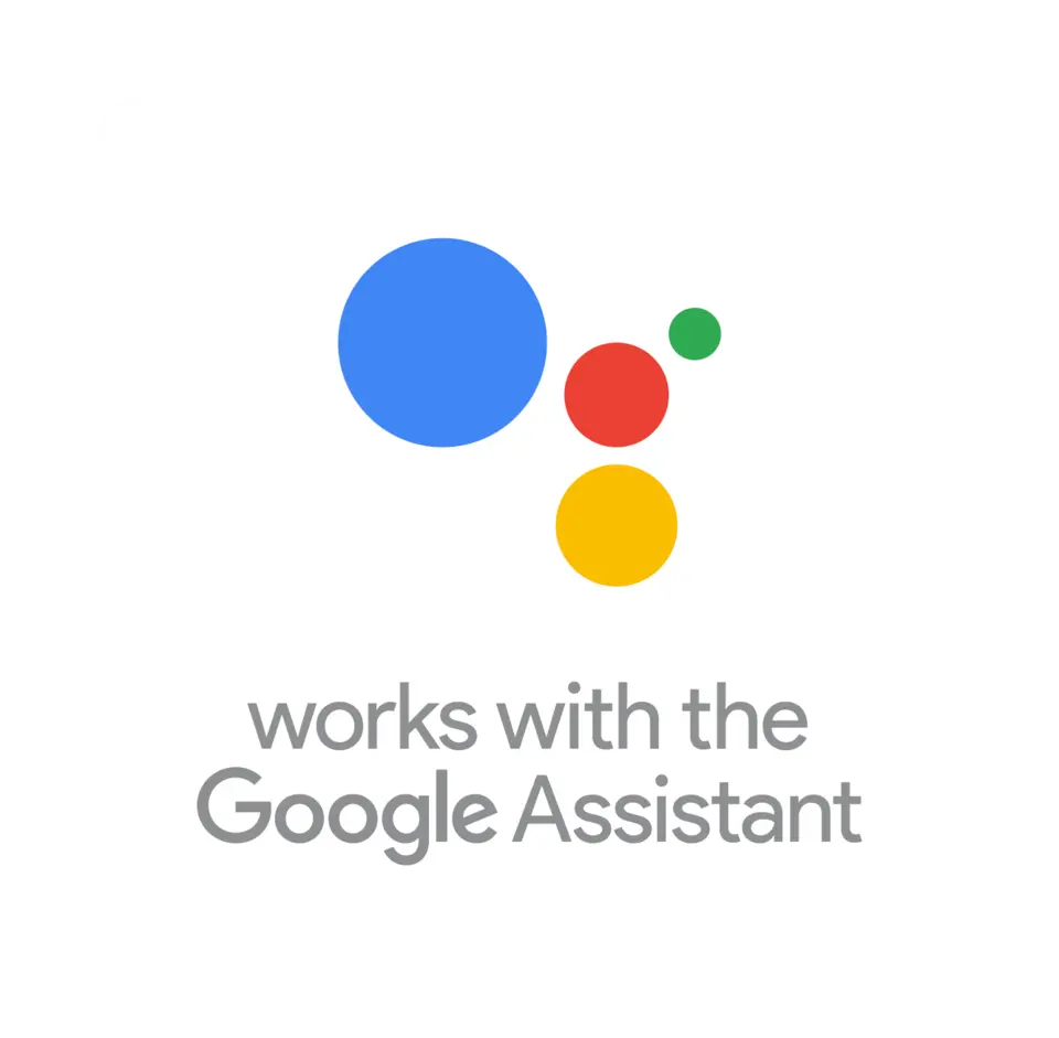 Google assistant